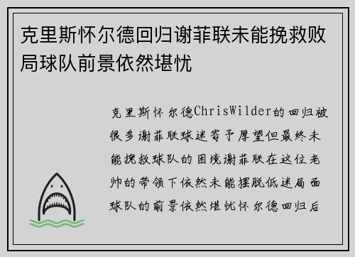 克里斯怀尔德回归谢菲联未能挽救败局球队前景依然堪忧 克里斯怀尔德回归谢菲联未能挽救败局球队前景依然堪忧
